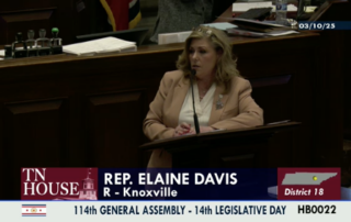 Elaine Davis explaining public comment bill