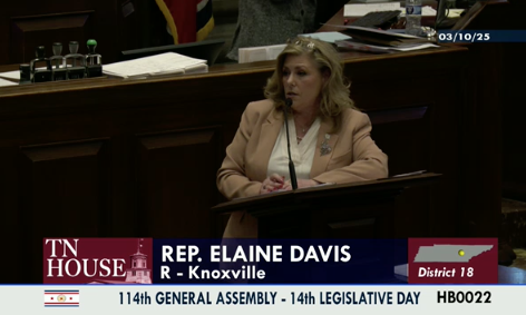 Elaine Davis explaining public comment bill